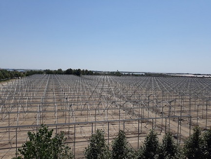 Iran Greenhouse Project