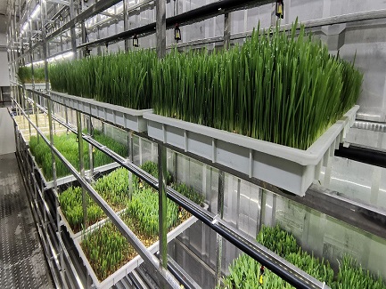 Japanese Hydroponic Container System