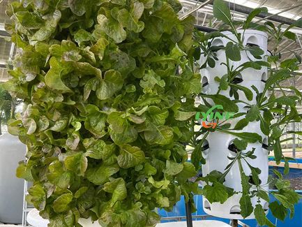 hydroponic rotating tower system
