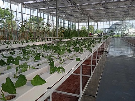Mauritius 3600 Square Meter Hydroponic Greenhouse Project