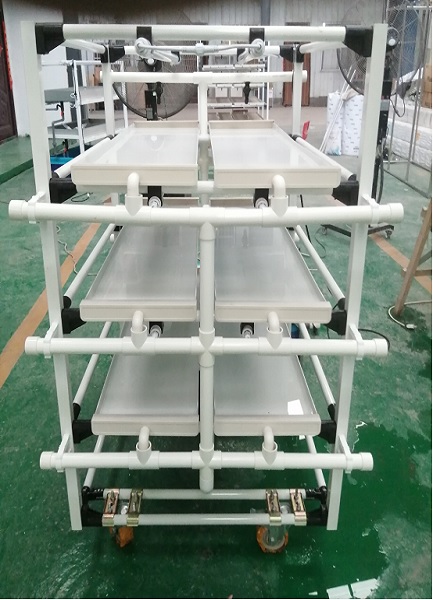 Microgreen System