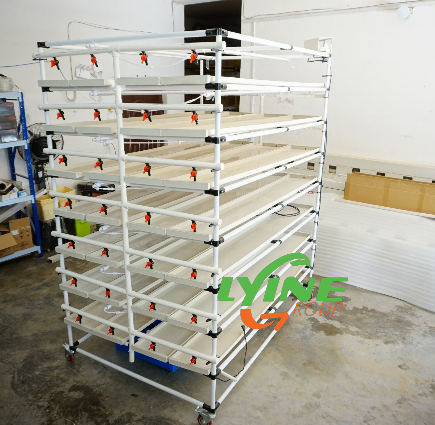  NFT Hydroponic System