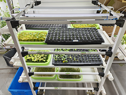 3-1microgreen system