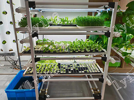 Microgreen System