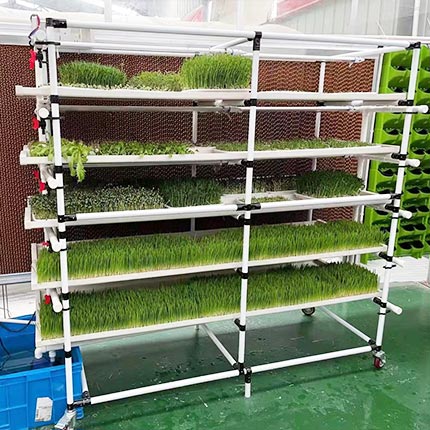 seedling rack system