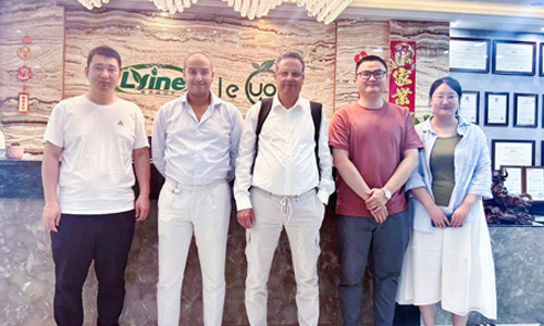 Dutch customer and us discuss the construction program of hydroponic tower system greenhouse project in Middle East together