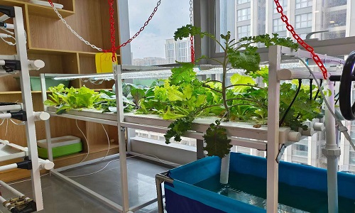 Intelligent Hydroponics Planting System - Can Grow A Variety Of Vegetables And Fruits