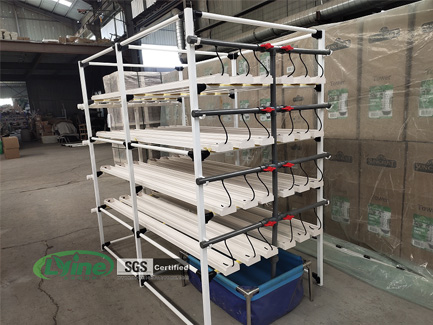 Customized 2m 4-tier NFT system for hydroponic basil in Lebanon01