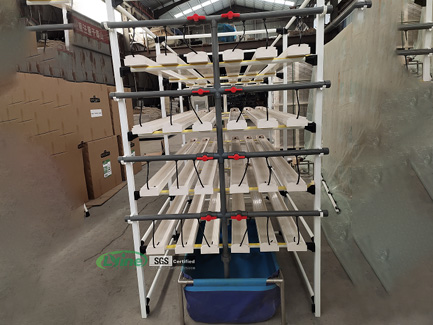 Customized 2m 4-tier NFT system for hydroponic basil in Lebanon02