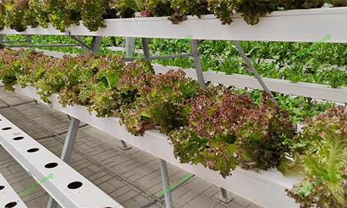 NFT hydroponic systems