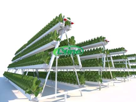 NFT hydroponic system