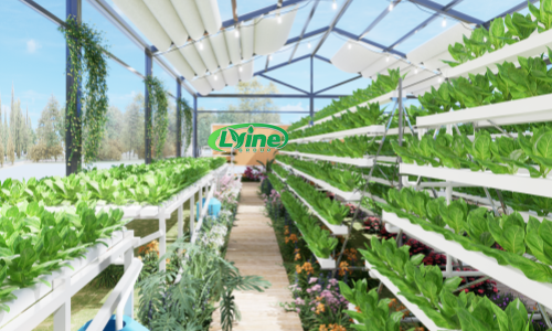 Vertical Hydroponic Agriculture