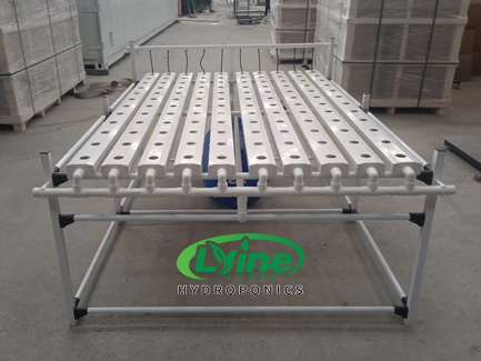 NZ customer hydroponically grows celery and lettuce with NFT system02