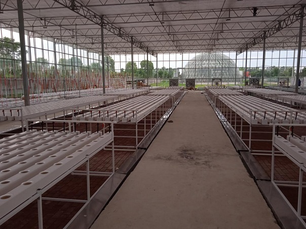 NFT greenhouse