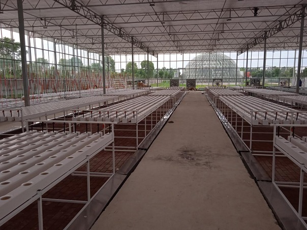 NFT greenhouse