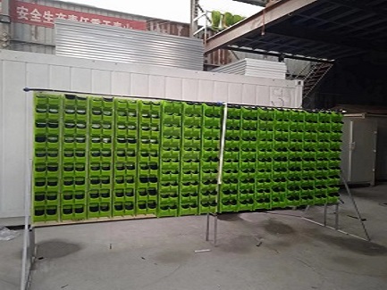 green wall