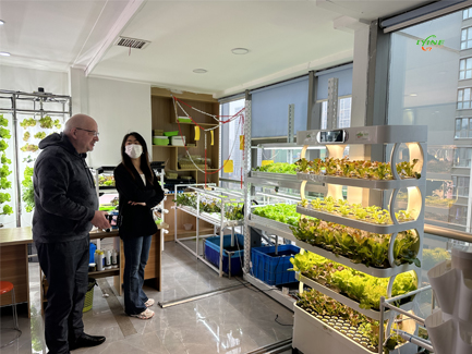 Polish Customers Visit Our Hydroponic Factory02