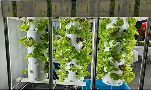 Vertical Hydroponic Tower Planting - Can be used indoors and outdoors