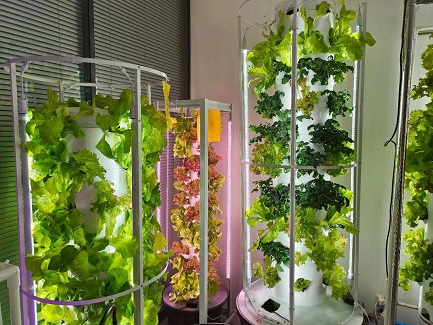 Greek Aeroponic Tower