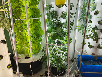 hydroponic tower system