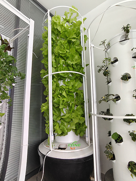 6P10 hydroponic tower system