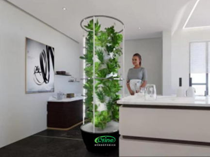 New Zealand Landscape Engineers Try Growing Vegetables in a Hydroponic Tower System