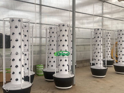 Iraqi customer orders 40 sets of 6P10 hydroponic tower system for greenhouse growing