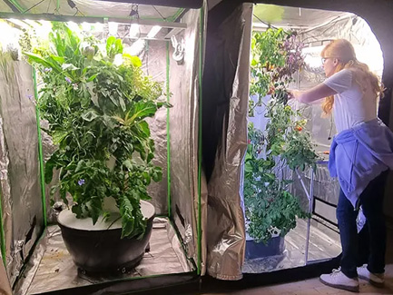 Croatian customer promotes hydroponic tower system in Europe01