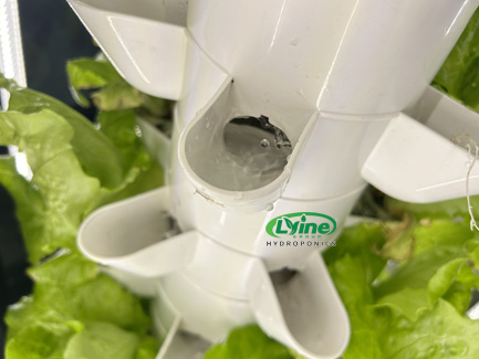 10 sets of 5P14 hydroponic tower systems in Canada02