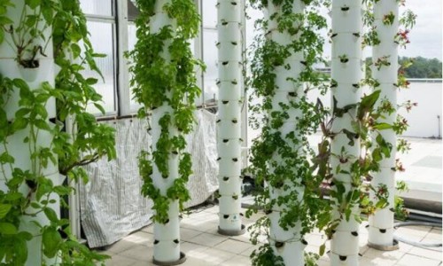 Hydroponic Tower System