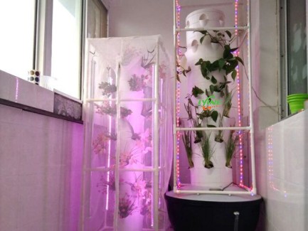 the aeroponic system