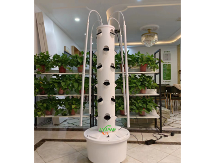 4P6 hydroponic tower system