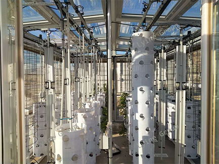 The Hydroponic Tower System