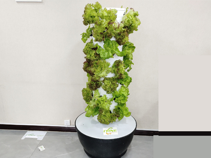 6P7 aeroponic tower system