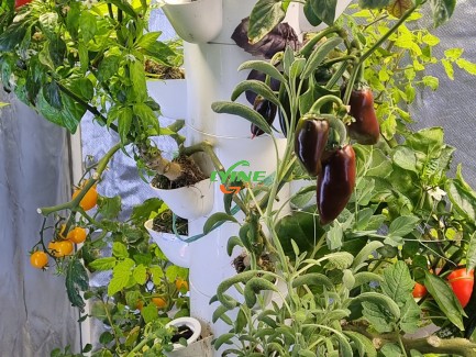 Hydroponic Tower System