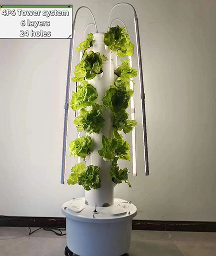 4P6 hydroponic tower system