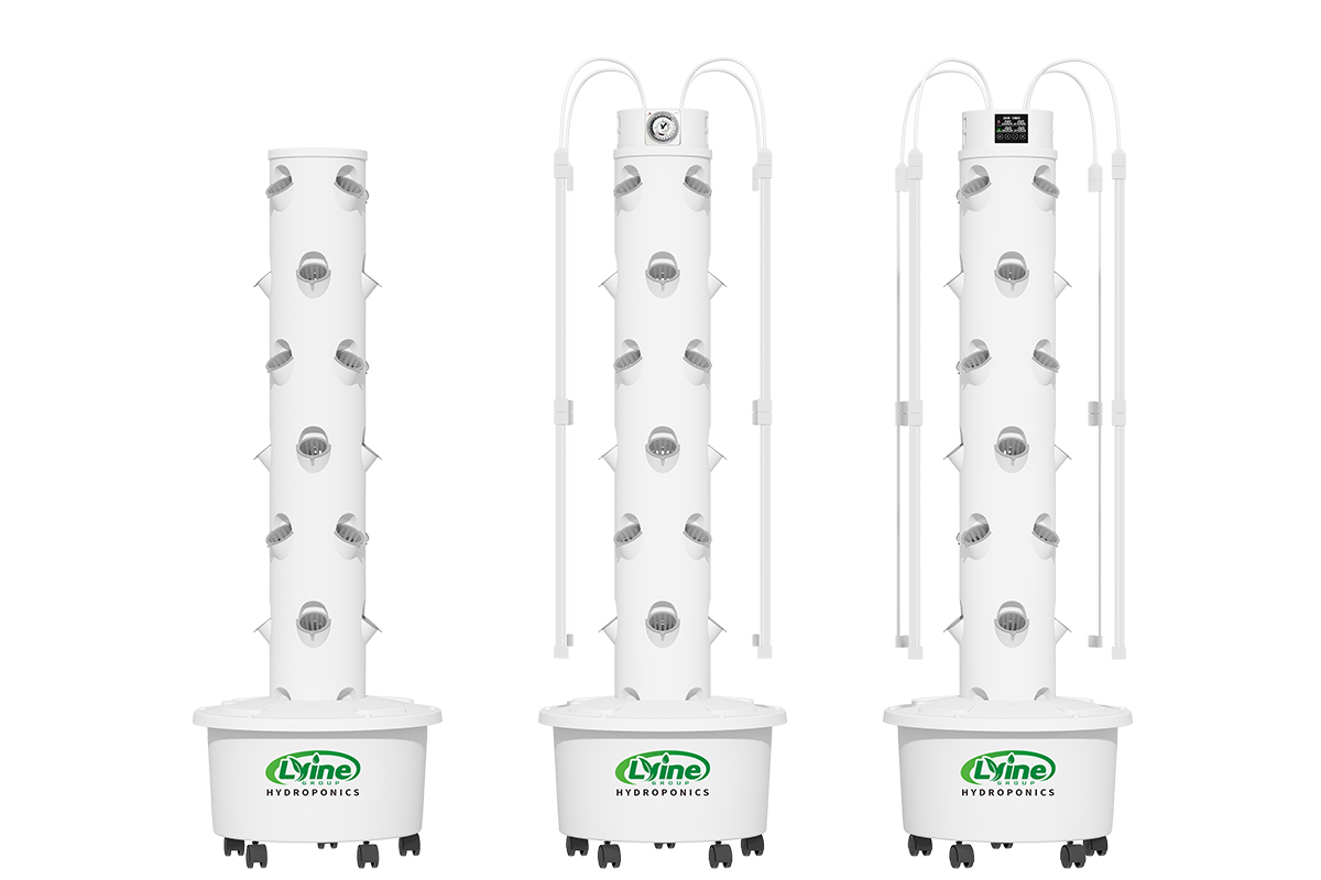4p6 Vertical