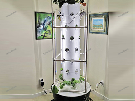  the aeroponic system