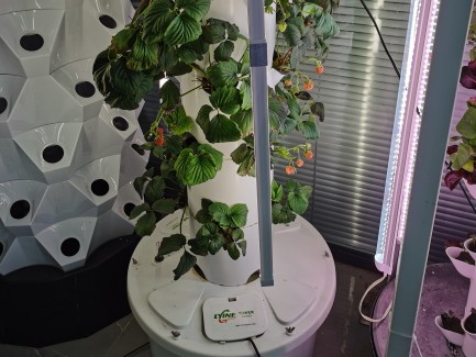 Hydroponic tower System