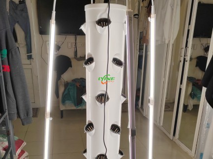 the aeroponic system