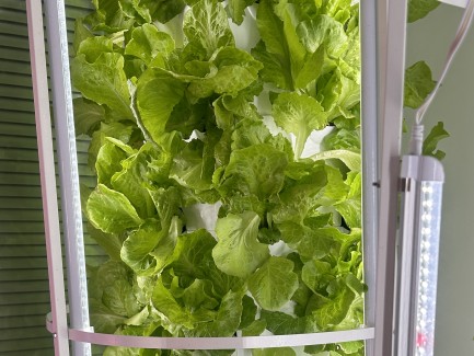 Hydroponic Tower System