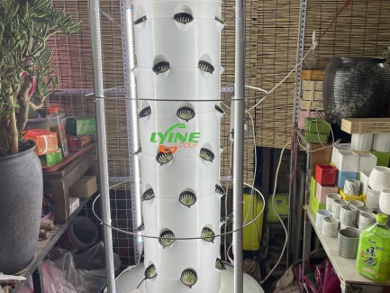 the aeroponic system