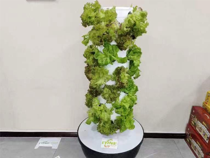 6P7 hydroponic tower system