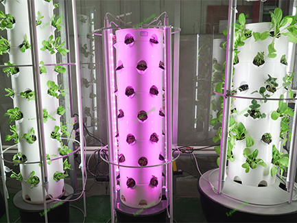 Vertical Tower Farm