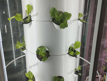 The Hydroponic Tower System