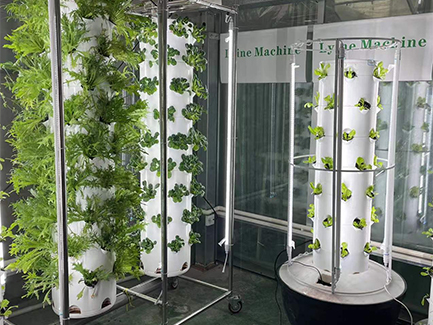 Hydroponic Tower Garden