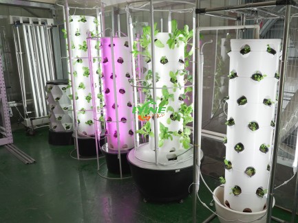 Aeroponic Tower System