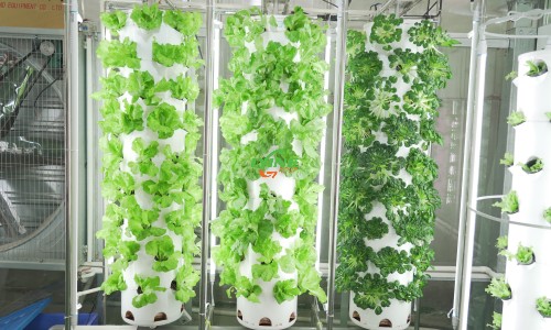 Hydroponic Tower System