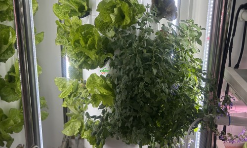 Hydroponic Tower System