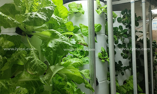  Hydroponic Tower System